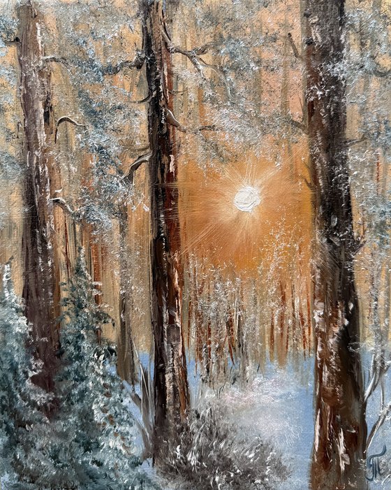 Golden Rays Among the Pines