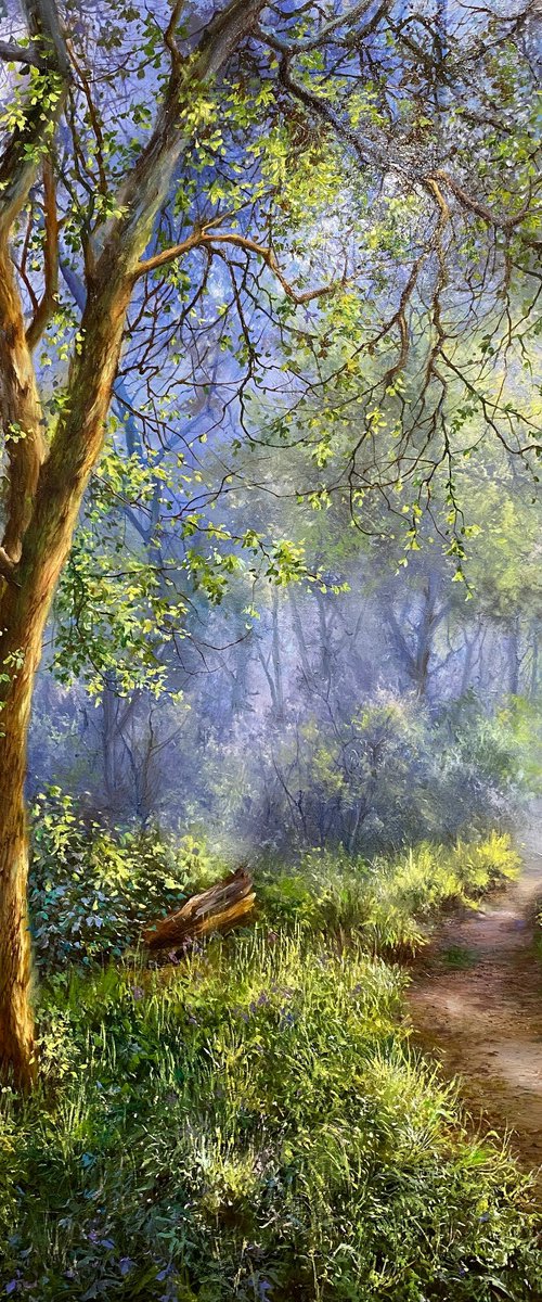 After Rain by Farzaneh Maddahi