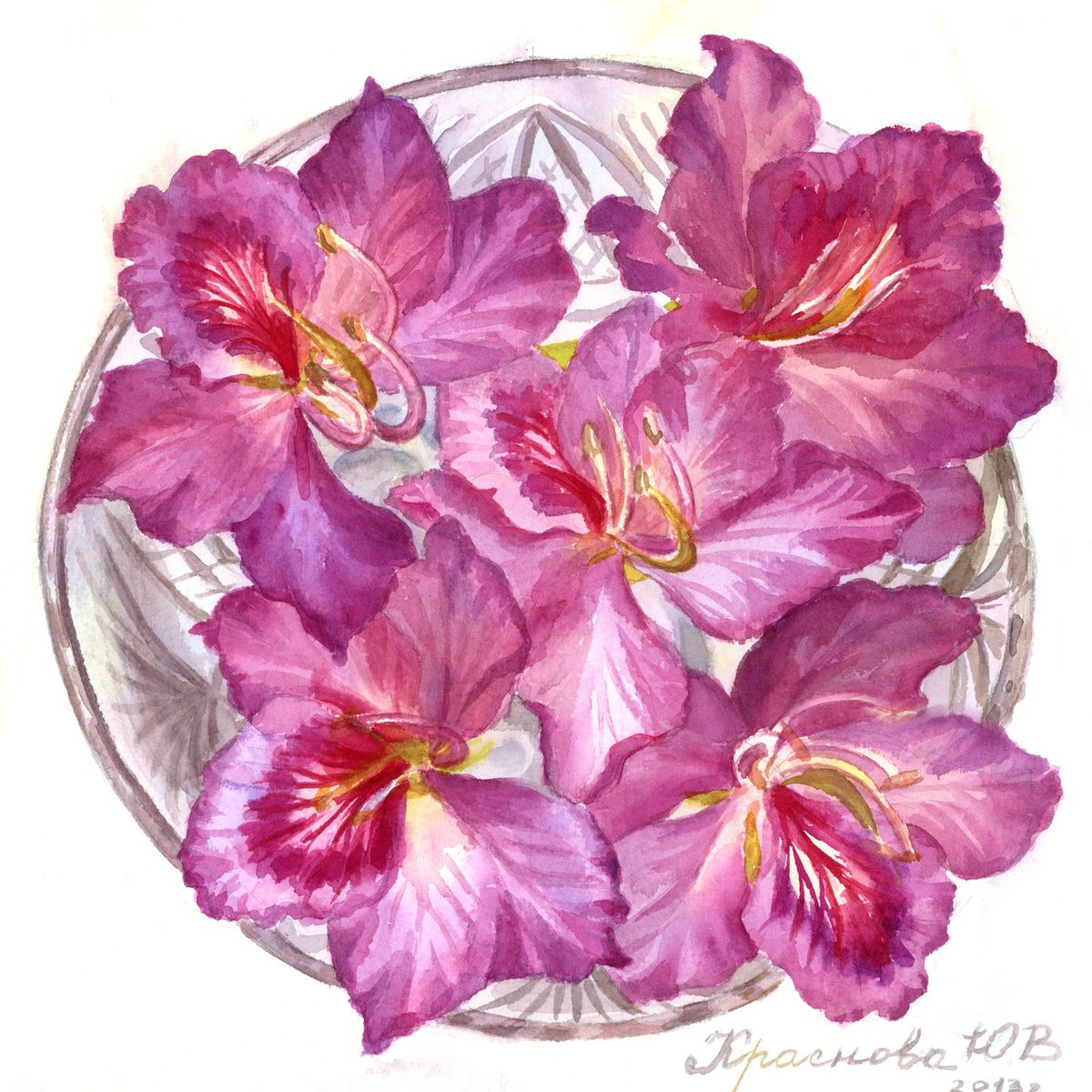 Photorealistic Botanical Watercolour By Yulia Krasnov, 10 X 10", Bauhinia, Original Artwork