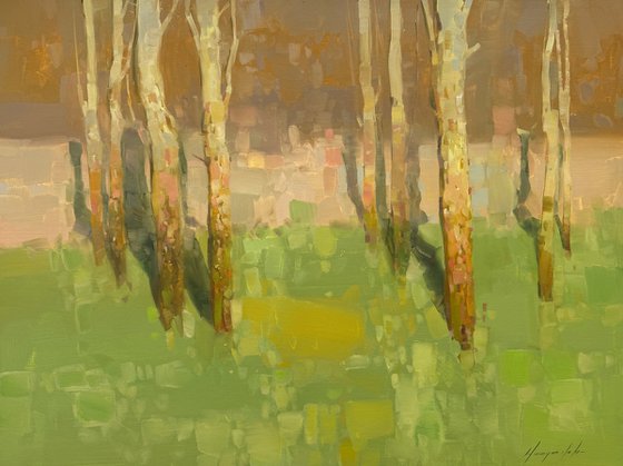 Birches Trees