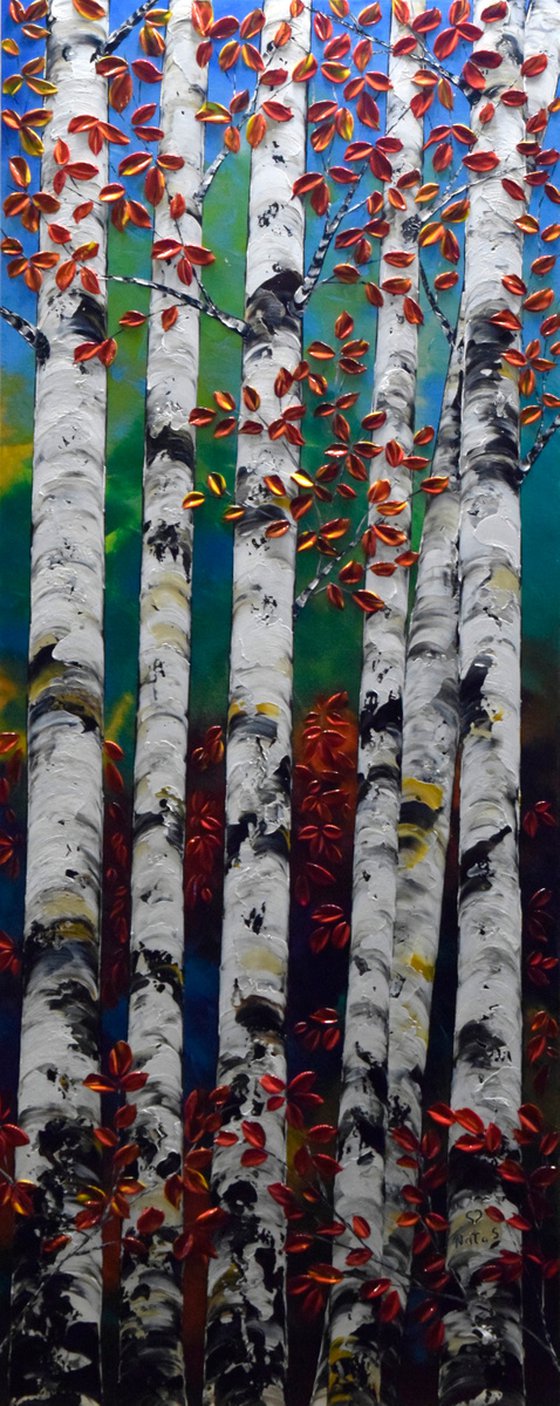 Birch Forest