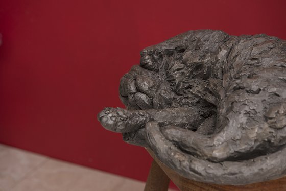 Curled Cat (BR sculpture)