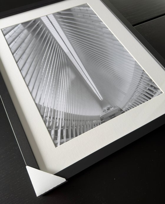 THE WHITE GEOMETRIES