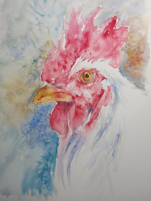 White chicken by Sue  Green