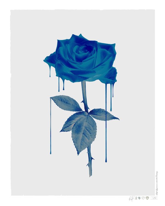 Melting Blue Rose