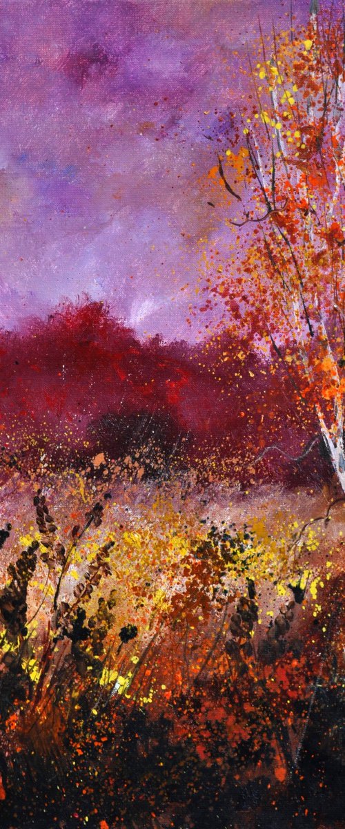 Aspen trees in autumn by Pol Henry Ledent