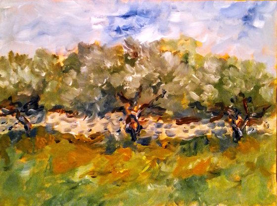 Olive trees