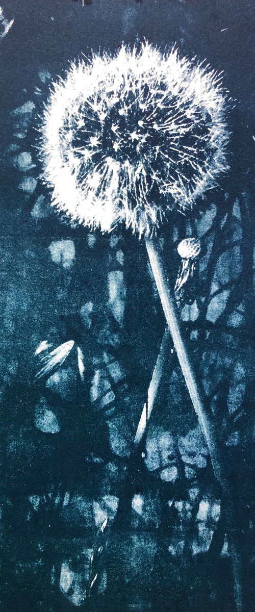 From Suns Into Moons by Diane McLellan