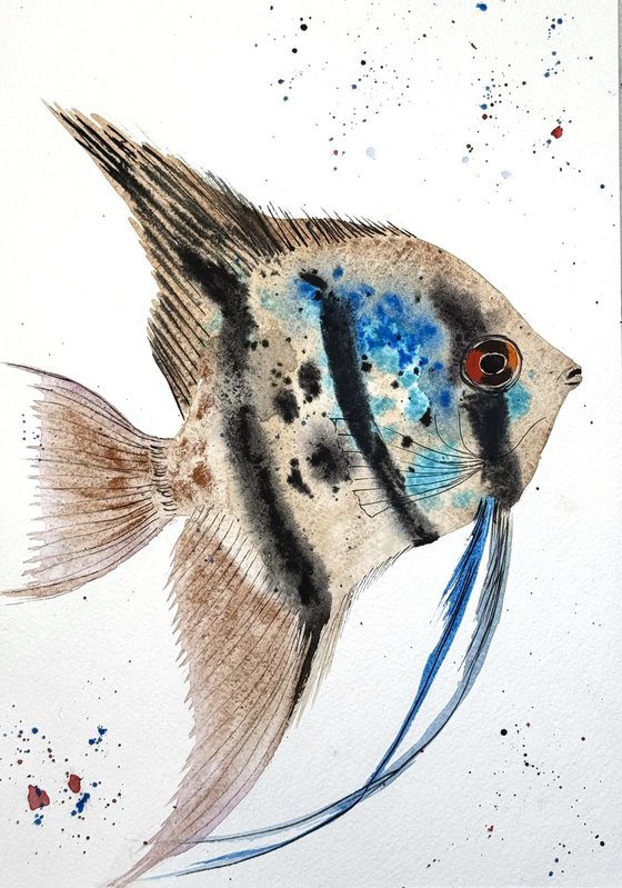 Exotic Trpoical Colorful fish