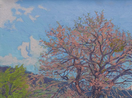 May. Spring in Teberda