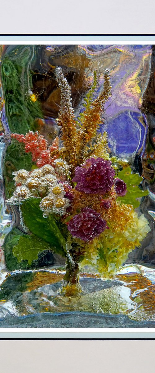 Frozen Flowers by Robin Clarke
