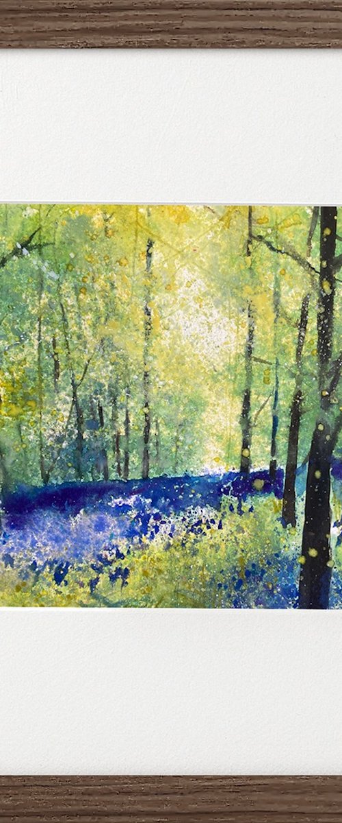 Among bluebells framed by Teresa Tanner