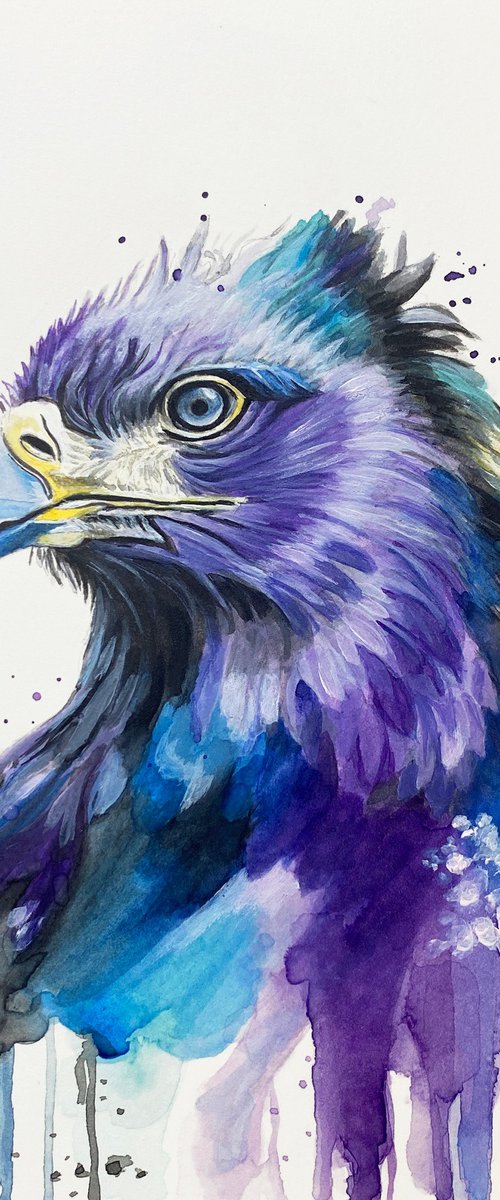 Colourful Eagle Painting by Sandy Broenimann