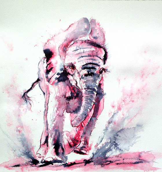 Playing elephant baby