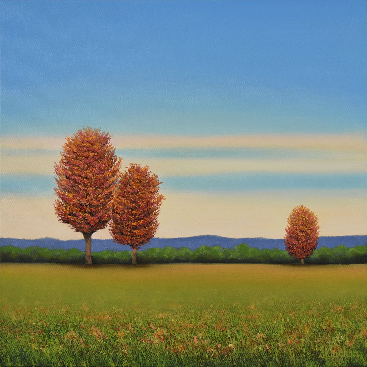 Impressionistic Landscape Oil Painting By Suzanne Vaughan, 16 X 16", Fall Red Trees - Blue Sky, Original Artwork