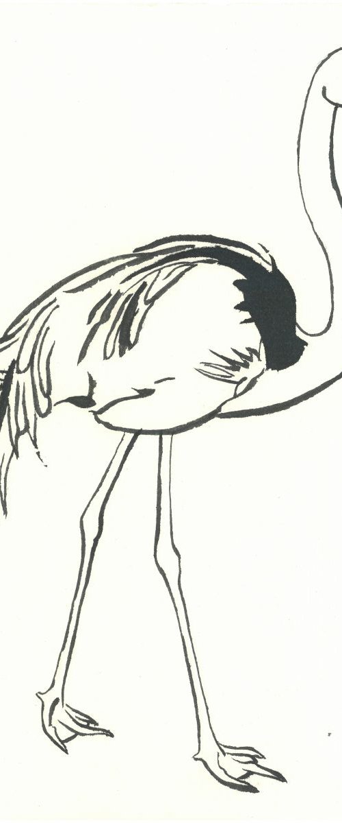 Flamingo I Animal Drawing by Ricardo Machado