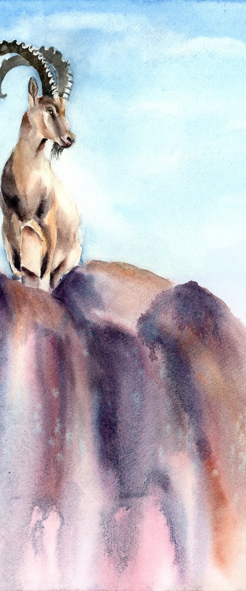 Ibex on the Heights by Olga Tchefranov (Shefranov)