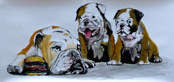 bulldogs