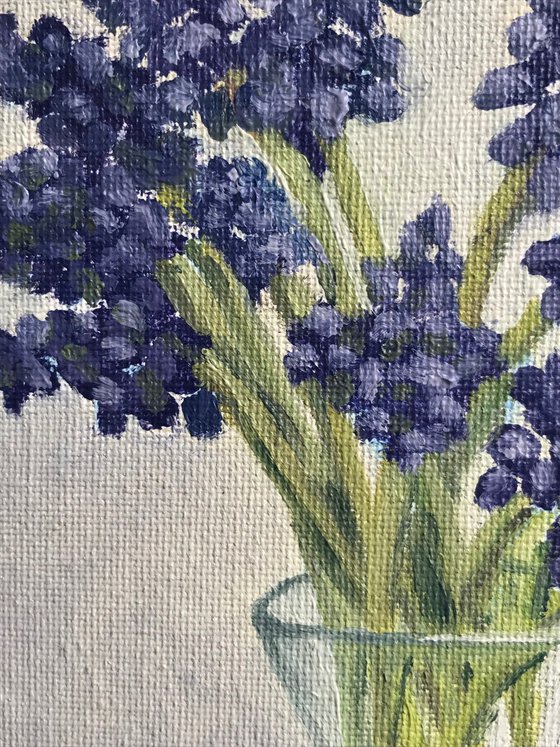 Grape Hyacinth in Oil