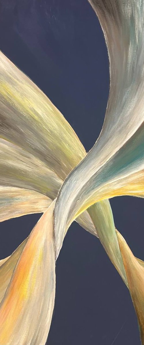 KNOT by Alex Kott