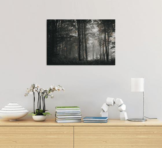 The first signs of Autumn