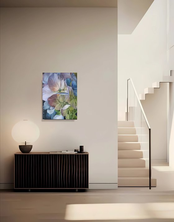 Hydrangea