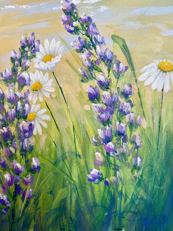 Sea Breeze and daisy days
