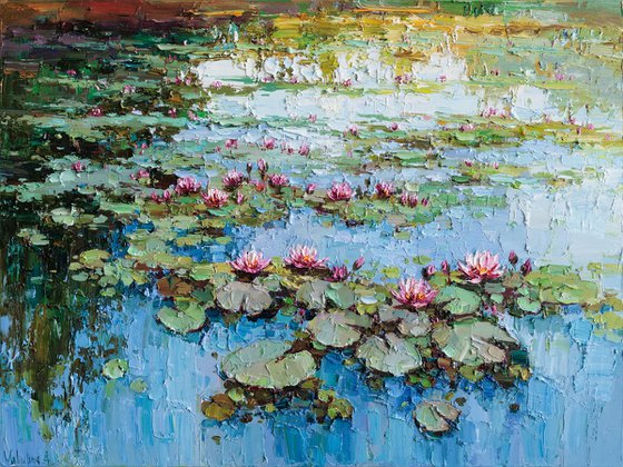 Pink Water Lilies