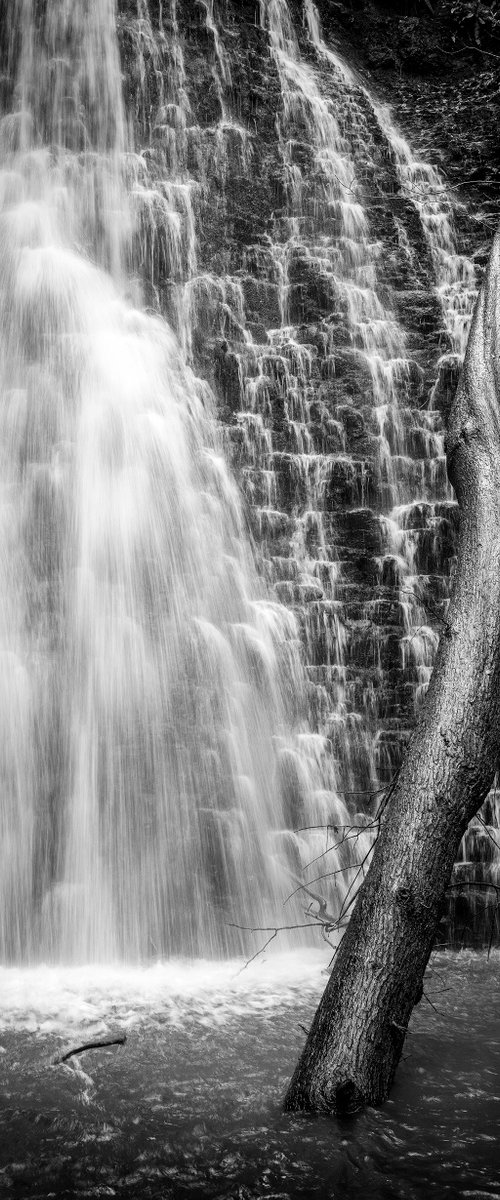 Falling Foss - North Yorkshire Moors by Stephen Hodgetts Photography