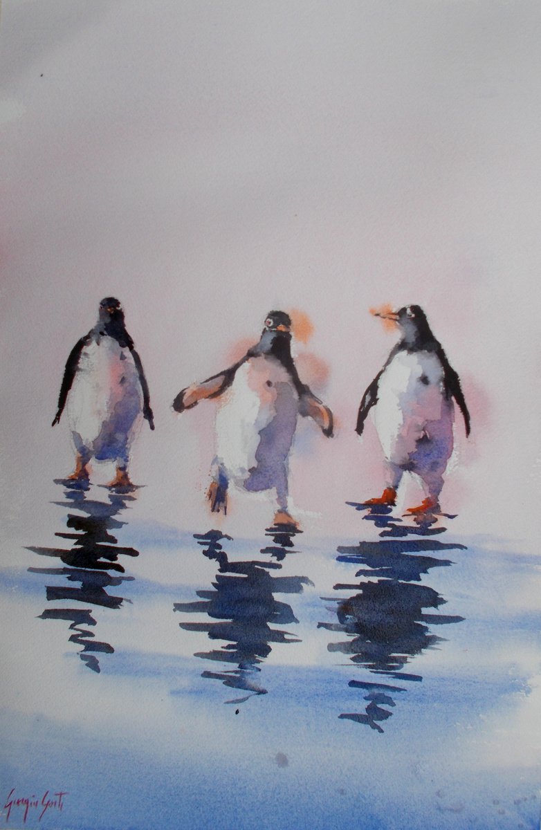 penguins by Giorgio Gosti