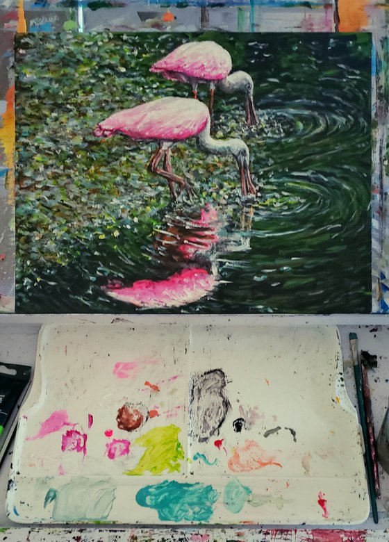 Roseate Spoonbills