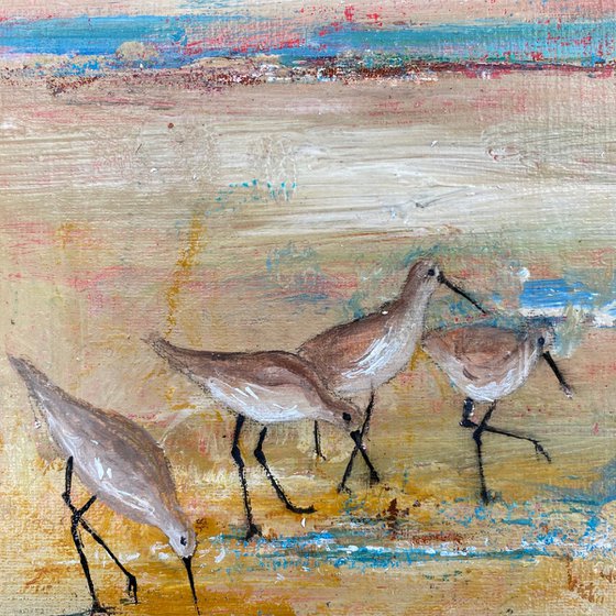 Wading Birds on the beach framed