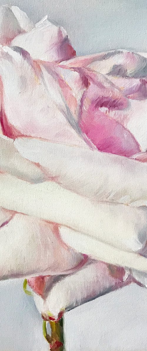 Oil painting "Rose" 20*20 cm by Irina Ivlieva