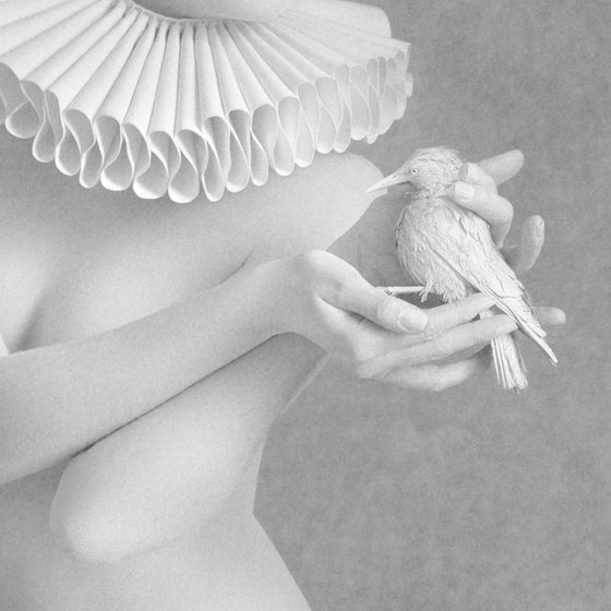 White bird - Art Nude