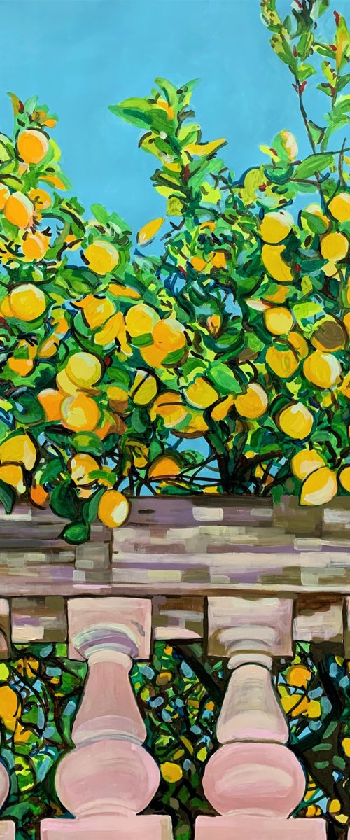 Lemon Trees by Alexandra Djokic