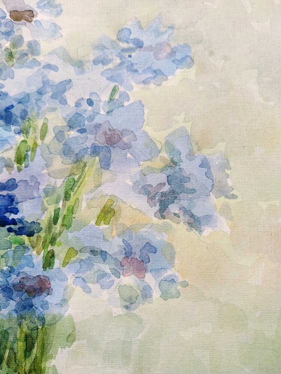 Cornflowers. Original watercolour painting.