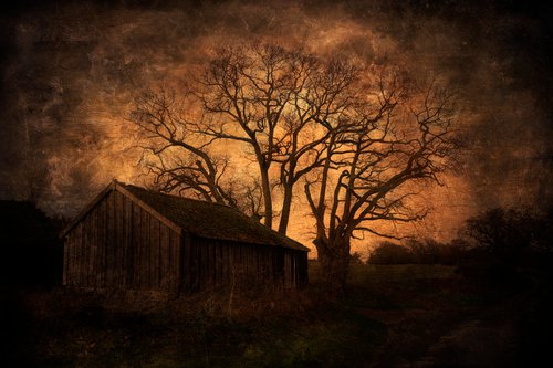 The Barn by the Tree by Martin  Fry