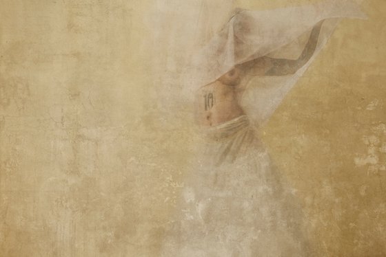 Salome V
