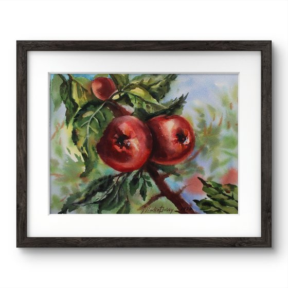 Apples. Original artwork .