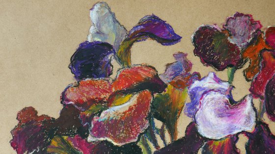 Iris Flowers 1
