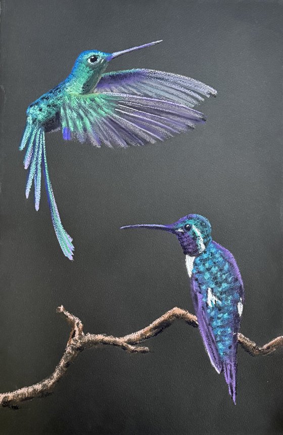 Colibri Flowers Diptych Pastel