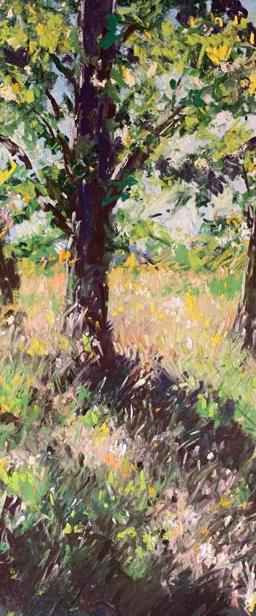 Woodland Warmth by Andrew Moodie