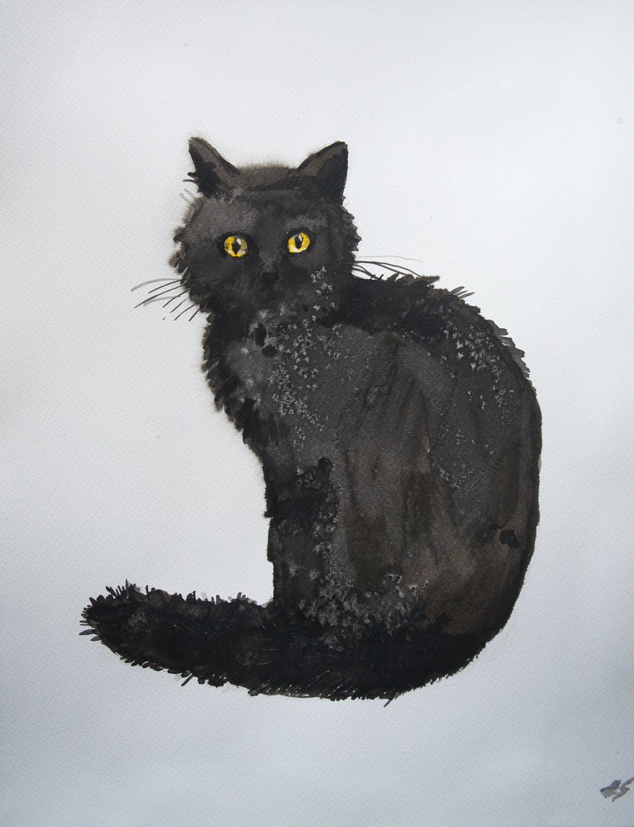 Black cat by Elena Sanina