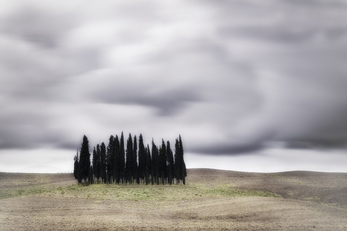 Impressionistic Photograph , I Cipressini (Studio 3) By Karim Carella, 45 X 31, Artwork For Sale On Artfinder