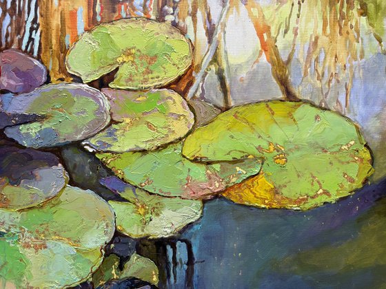 Water Lilies