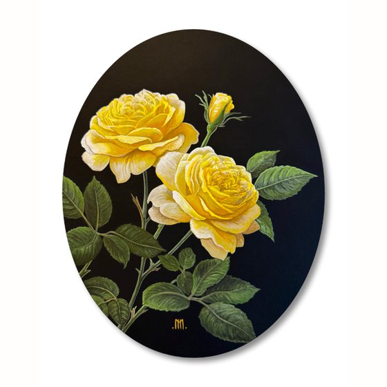 Rosa Xanthina Lindl (Yellow Rose)