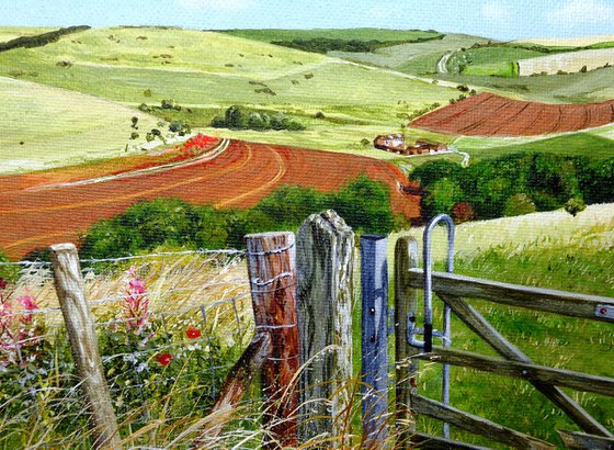 The Harvest Path