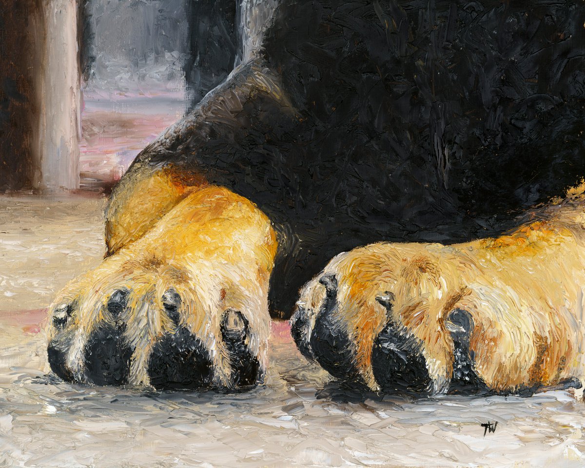 Rotti Paws by Tracey Walker