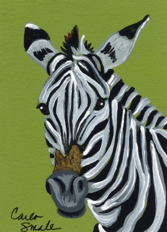 Zebra