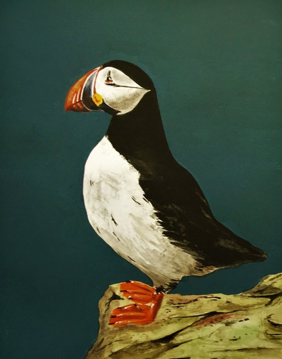 Standing Puffin